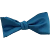 Aqua Marine Modern Solid Ties
