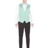 Light Mint Modern Solid Vest and Ties