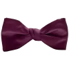 Sangria Modern Solid Ties